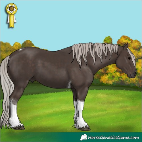 Horse Color:Silver Black Tobiano 