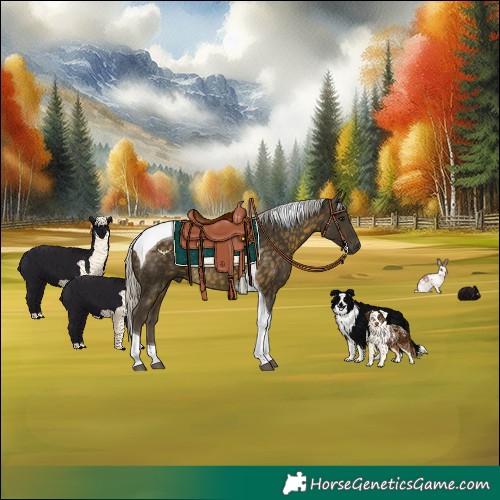 Horse Color:Silver Buckskin Tobiano 