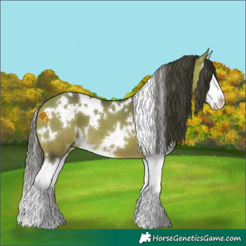 Horse Color:White Spotted Buckskin Splash 