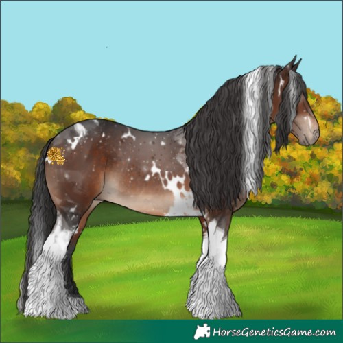 Horse Color:White Spotted Brown Tobiano Rabicano 