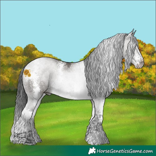 Horse Color:Grullo Sabino 