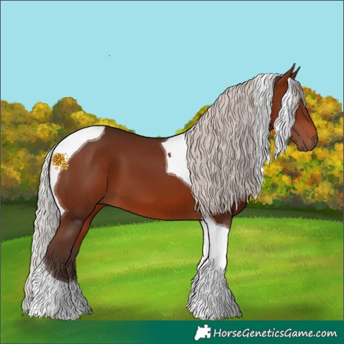 Horse Color:Silver Brown Tobiano 