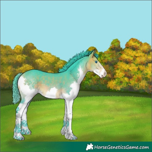 Horse Color:Watercolor Buckskin Splash 