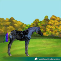 Horse Color:ERROR: UNKNOWN ANOMALY