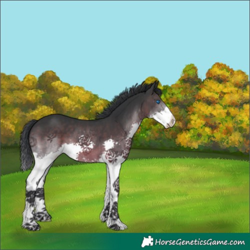 Horse Color:Brown Splash 
