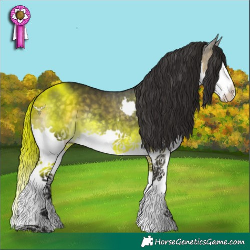 Horse Color:Buckskin Splash 