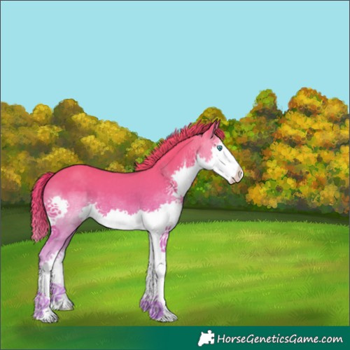 Horse Color:Perlino Splash 