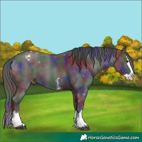 Horse Color:Nacre Liver Chestnut Sabino Splash Appaloosa 