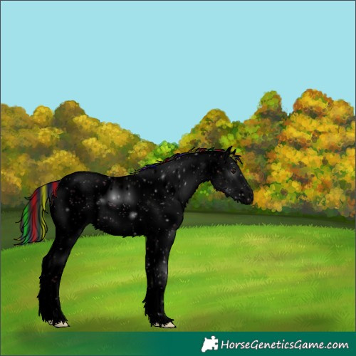 Horse Color:Void Painted Nacre Brown Dun Sabino Splash Appaloosa 