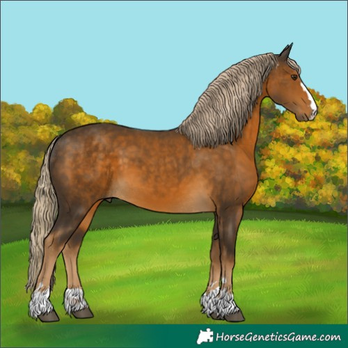 Horse Color:Chocolate Palomino