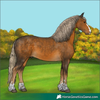 Horse Color:Chocolate Palomino