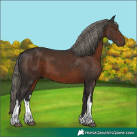 Horse Color:White Spotted Liver Chestnut Mushroom 