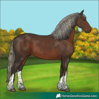 Horse Color:White Spotted Liver Chestnut Mushroom 