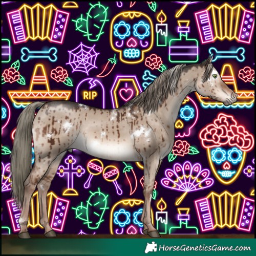 Horse Color:White Spotted Liver Red Dun Mushroom Rabicano Brindle 
