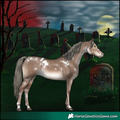 Horse Color:White Spotted Liver Red Dun Mushroom Rabicano Brindle 