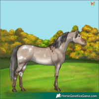 Horse Color:White Spotted Liver Red Dun Mushroom Rabicano 