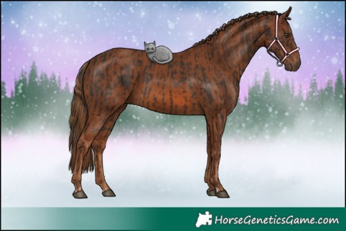 Horse Color:Liver Chestnut  and Chestnut 