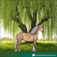 Horse Color:White Spotted Silver Buckskin Dun Tobiano Rabicano 