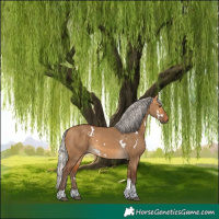 Horse Color:White Spotted Silver Buckskin Dun Tobiano Rabicano 