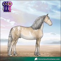 Horse Color:White Spotted Silver Smoky Black Pearl 