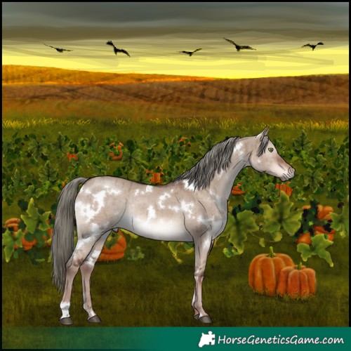Horse Color:White Spotted Liver Red Dun Mushroom Rabicano Brindle 