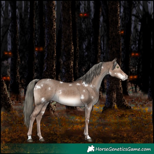 Horse Color:White Spotted Liver Red Dun Mushroom Rabicano Brindle 