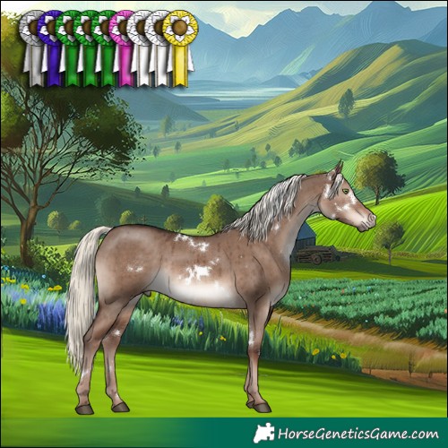 Horse Color:White Spotted Liver Red Dun Mushroom Rabicano Brindle 