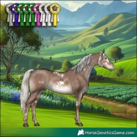 Horse Color:White Spotted Liver Red Dun Mushroom Rabicano Brindle