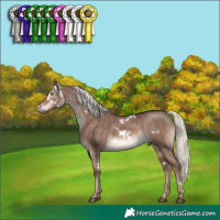 Horse Color:White Spotted Liver Red Dun Mushroom Rabicano Brindle
