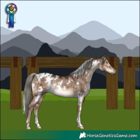 Horse Color:White Spotted Liver Red Dun Mushroom Rabicano Brindle 