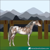 Horse Color:White Spotted Liver Red Dun Mushroom Rabicano Brindle 