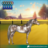 Horse Color:White Spotted Liver Red Dun Mushroom Rabicano Brindle 