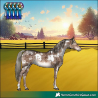 Horse Color:White Spotted Liver Red Dun Mushroom Rabicano Brindle