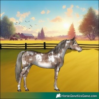 Horse Color:White Spotted Liver Red Dun Mushroom Rabicano Brindle 