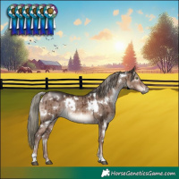 Horse Color:White Spotted Liver Red Dun Mushroom Rabicano Brindle 
