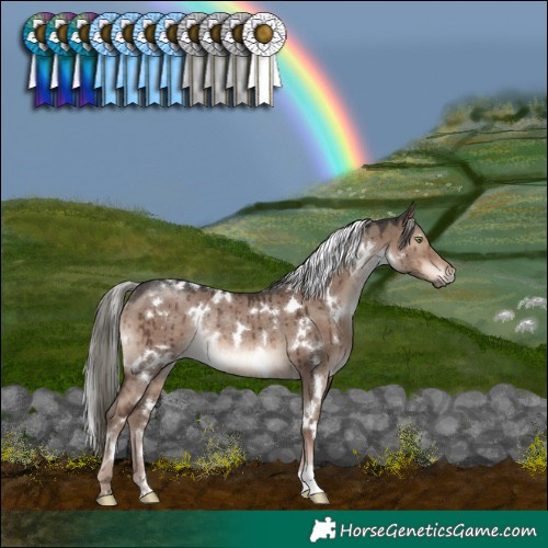 Horse Color:White Spotted Liver Red Dun Mushroom Rabicano Brindle 