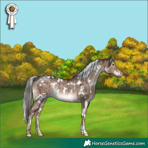 Horse Color:White Spotted Liver Red Dun Mushroom Rabicano Brindle