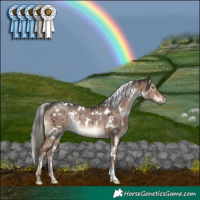 Horse Color:White Spotted Liver Red Dun Mushroom Rabicano Brindle 