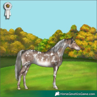 Horse Color:White Spotted Liver Red Dun Mushroom Rabicano Brindle 