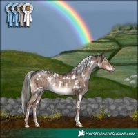 Horse Color:White Spotted Liver Red Dun Mushroom Rabicano Brindle 