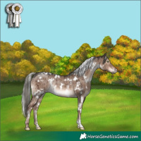Horse Color:White Spotted Liver Red Dun Mushroom Rabicano Brindle