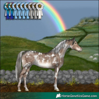 Horse Color:White Spotted Liver Red Dun Mushroom Rabicano Brindle 