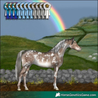 Horse Color:White Spotted Liver Red Dun Mushroom Rabicano Brindle