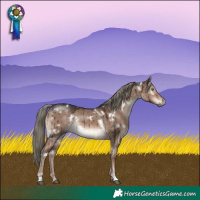 Horse Color:White Spotted Liver Red Dun Mushroom Rabicano Brindle 