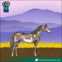 Horse Color:White Spotted Liver Red Dun Mushroom Rabicano Brindle 