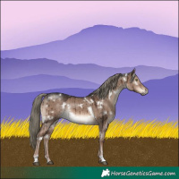 Horse Color:White Spotted Liver Red Dun Mushroom Rabicano Brindle 