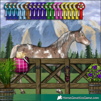 Horse Color:White Spotted Liver Red Dun Mushroom Rabicano Brindle 