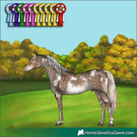 Horse Color:White Spotted Liver Red Dun Mushroom Rabicano Brindle 
