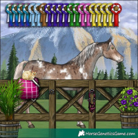 Horse Color:White Spotted Liver Red Dun Mushroom Rabicano Brindle