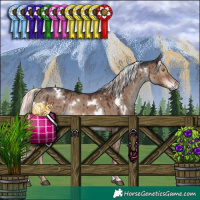 Horse Color:White Spotted Liver Red Dun Mushroom Rabicano Brindle 